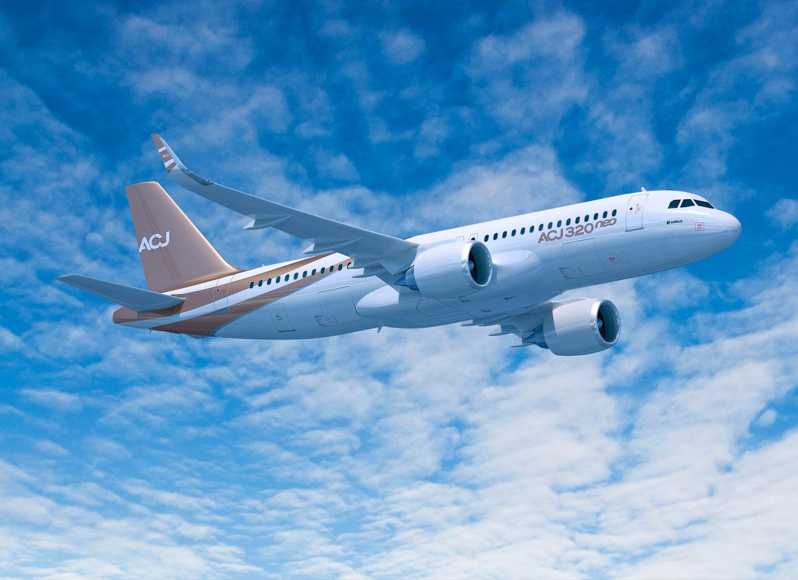 Safe Fly Aviation Airbus ACJ319 VIP Executive Charter Aircraft