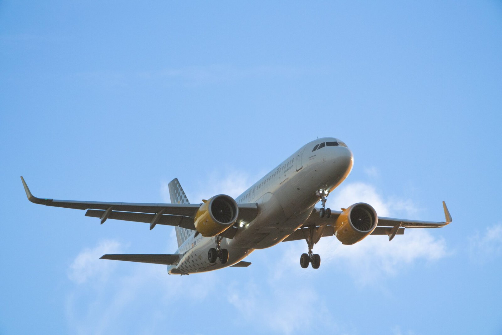 Airbus A320-200 narrow-body airliner
