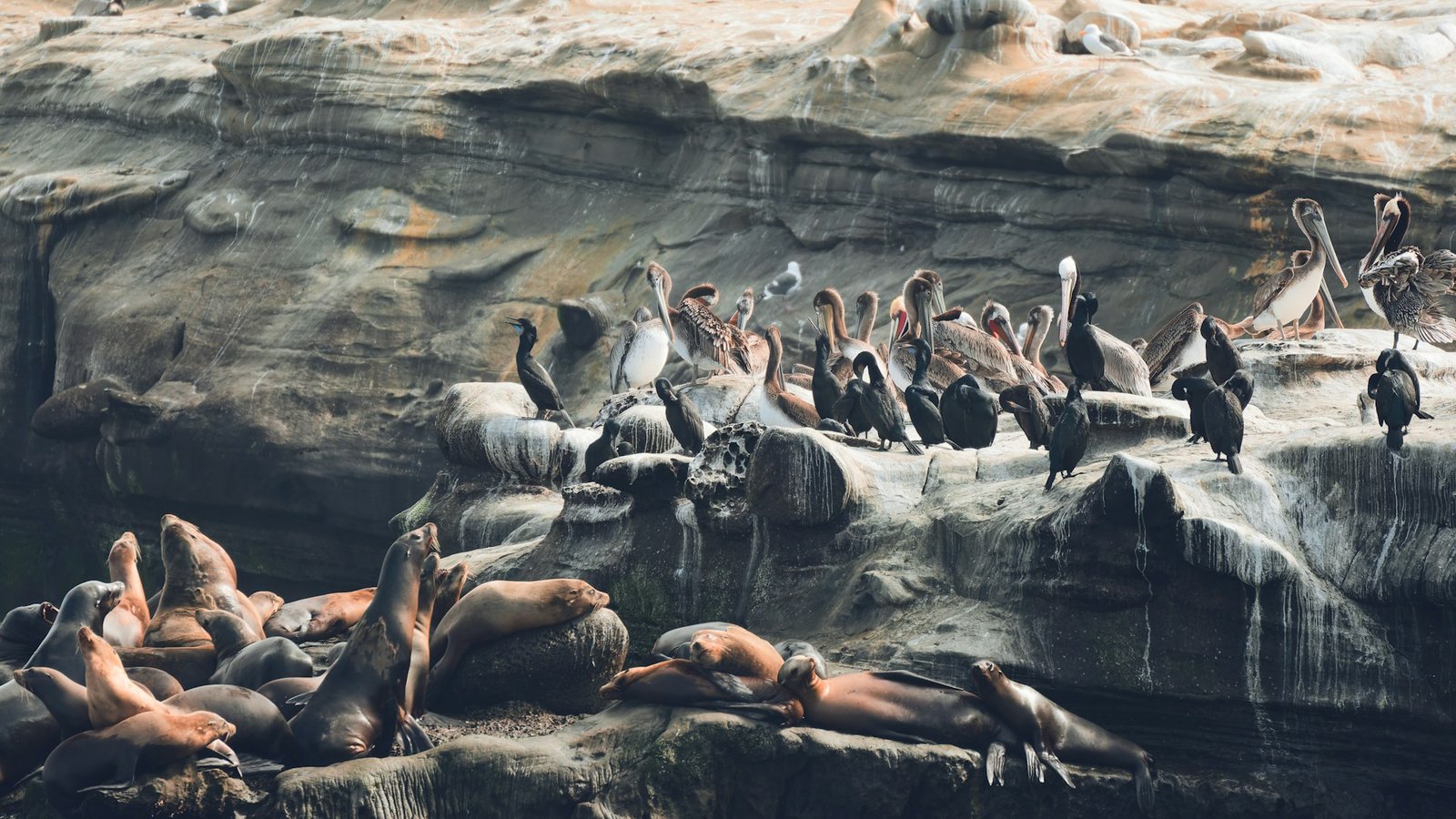 Kamchatka volcano and river valley